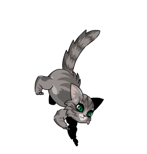 Battle Ready Pebbles