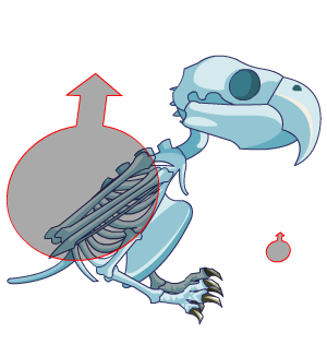 Icy Undead Parrot