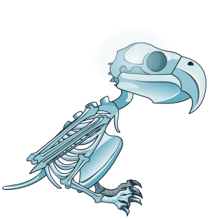 Platinum Undead Parrot