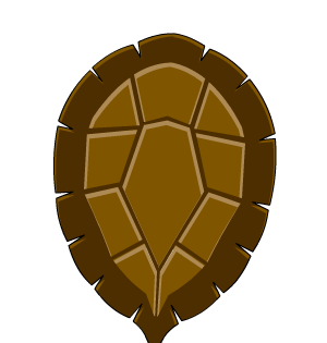 Turtle BackShell