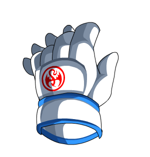 Goalie Gloves