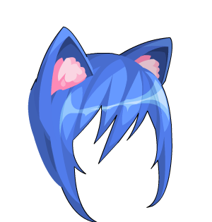 Love Kitty Locks and Ears