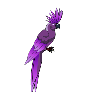 Chaotic Cockatoo