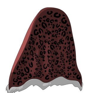 Playa's Cape