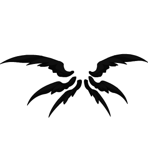 Obsidian Guardian's Wings