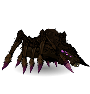 Swamp Spider